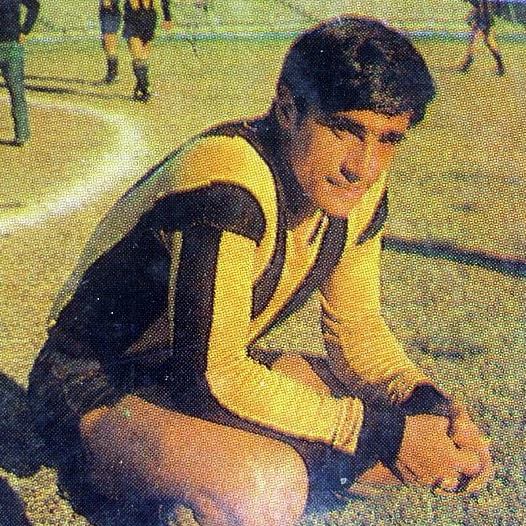 Player Image