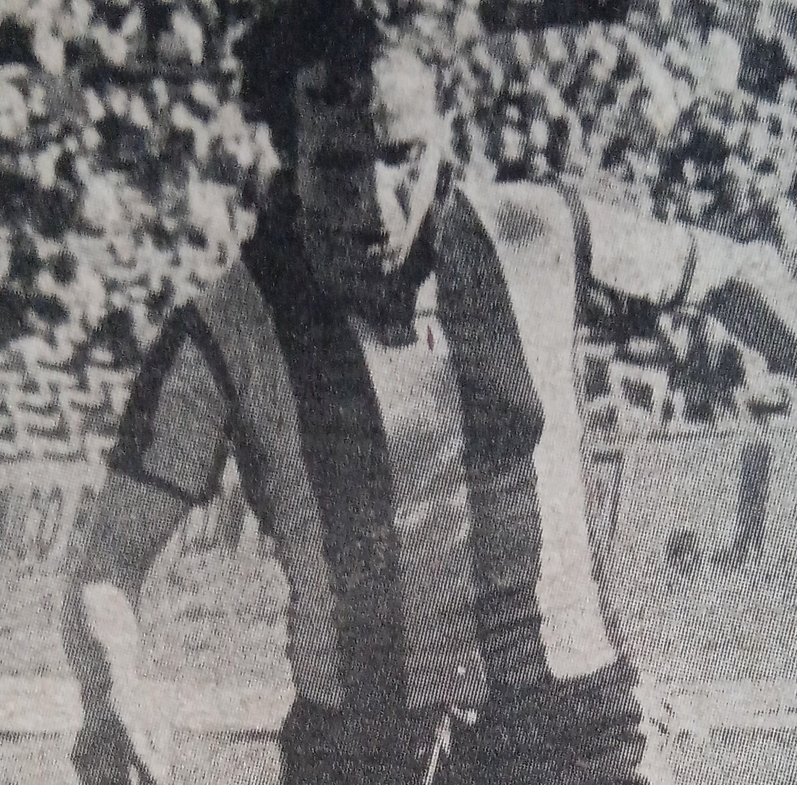 Player Image
