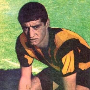 Player Image