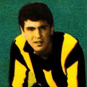 Player Image