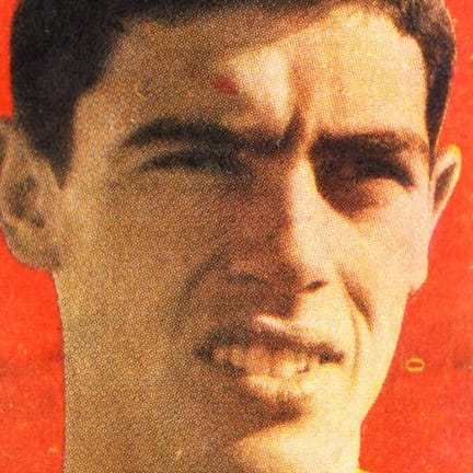 Player Image