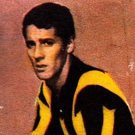 Player Image
