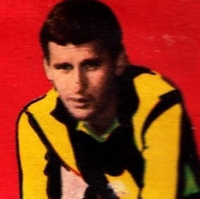 Player Image