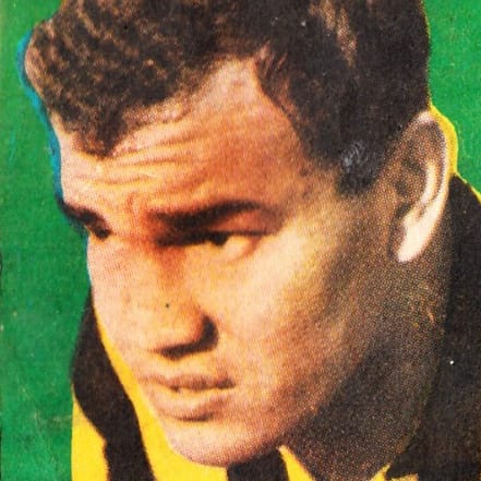 Player Image