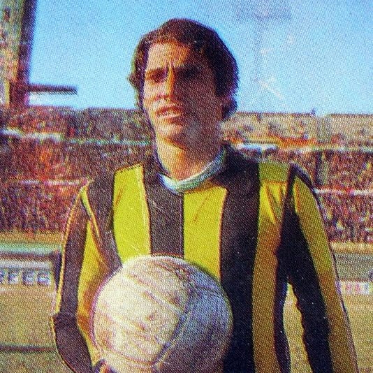 Player Image