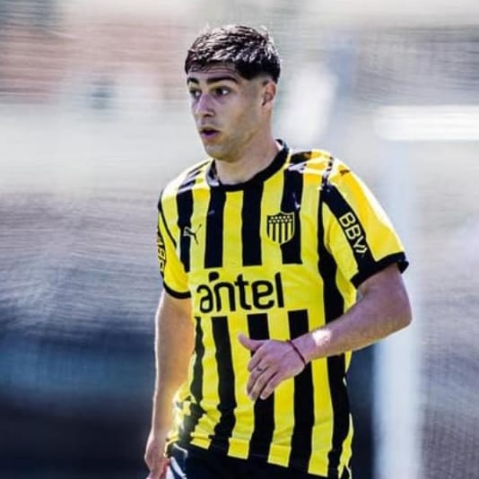 Player Image